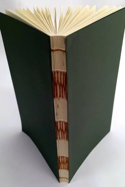 14WhatsApp Image 2022-08-31 at 18.51.37-2 copy